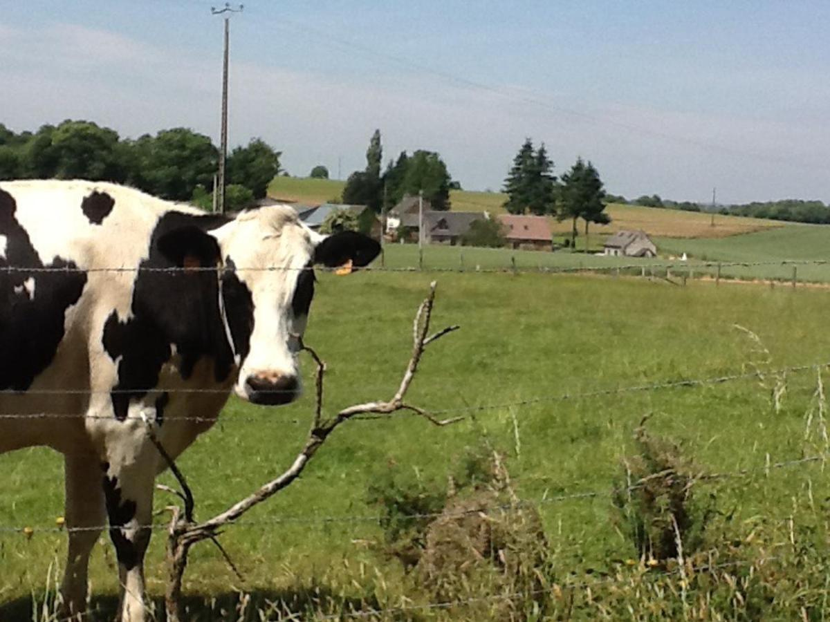 Maison De Campagne Avec Spa, Proche De Vergers Et Cite Medievale, Animaux Acceptes, Recharge Electrique - Fr-1-497-101 L'Epinay-le-Comte Екстер'єр фото
